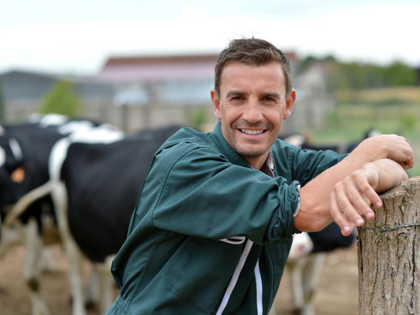 Datamars New story image