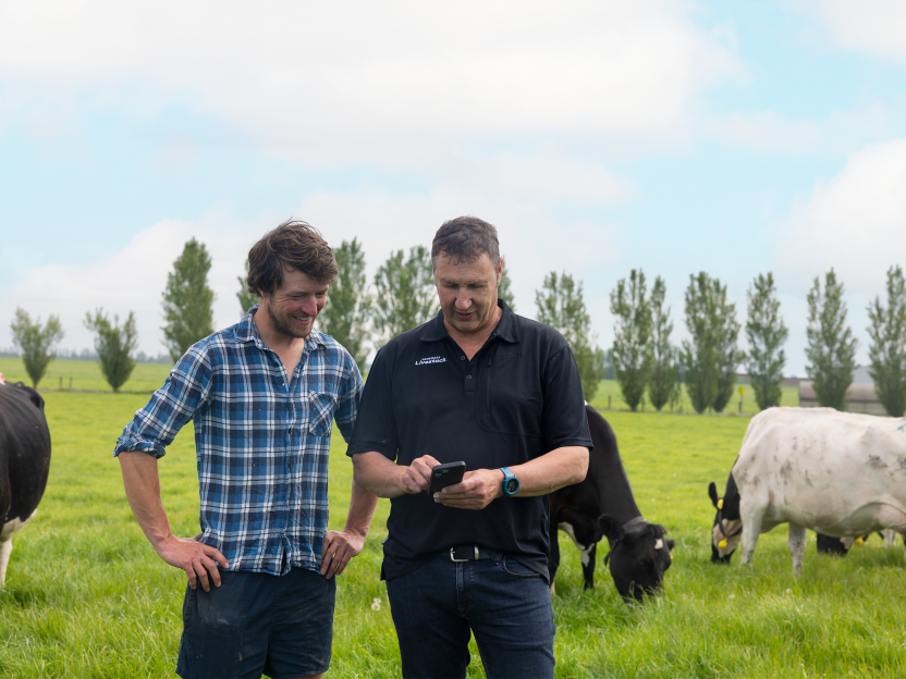 How data is transforming livestock farming in New Zealand  Image