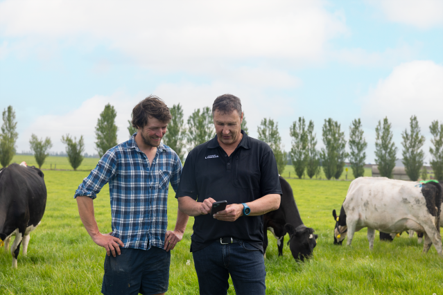 How data is transforming livestock farming in New Zealand Image